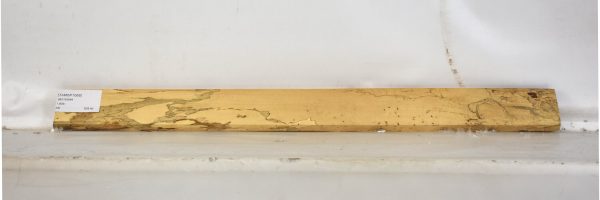 TAMSP1068_2