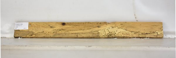 TAMSP1069_1