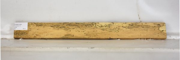 TAMSP1069_2