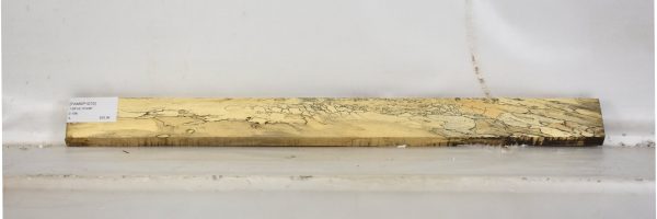 TAMSP1070_2