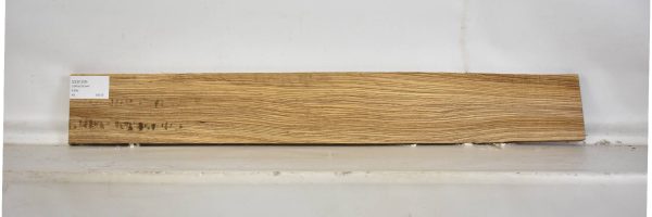 ZEB1306_1