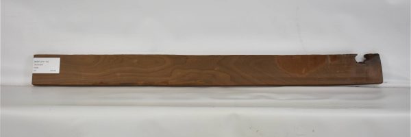 BIRFLR1119_2
