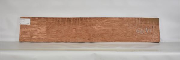 BUB1185_2