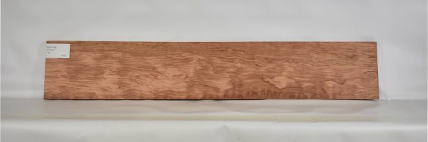 BUB1186_1