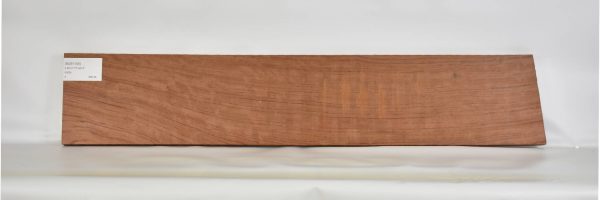 BUB1189_1