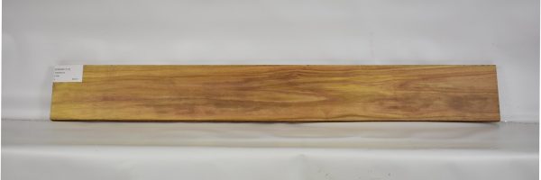 CANAR1177_2