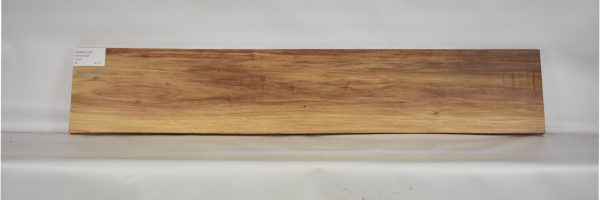 CANAR1187_1