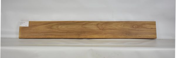 CANAR1189_2