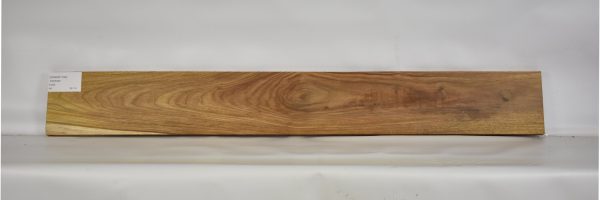 CANAR1190_1