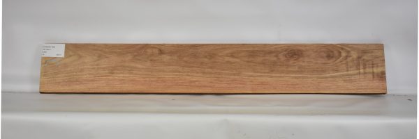 CANAR1194_1