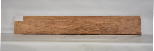 CANAR1194_2