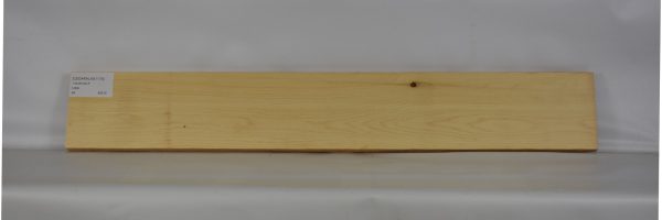 CEDARALAS1175_2