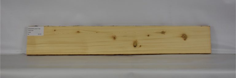 CEDARALAS1178_1