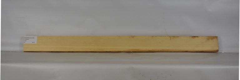 CEDARALAS1180_1