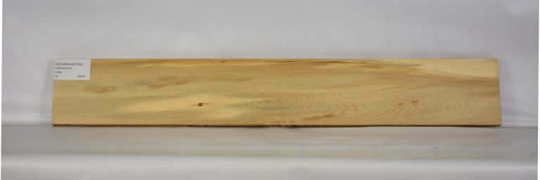 CEDARALAS1193_1