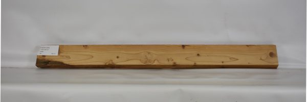 CEDH1026_2