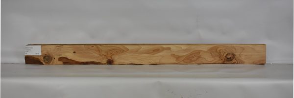 CEDH1036_2
