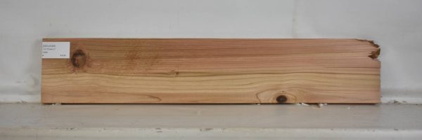 CEDJ1005_2