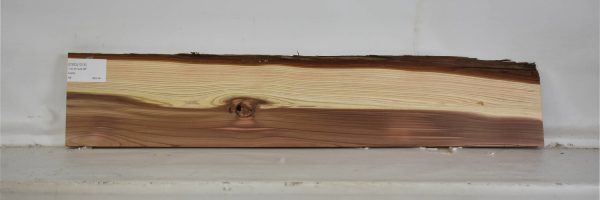 CEDJ1015_2