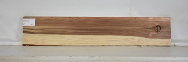 CEDJ1016_2