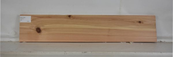 CEDJ1020_2