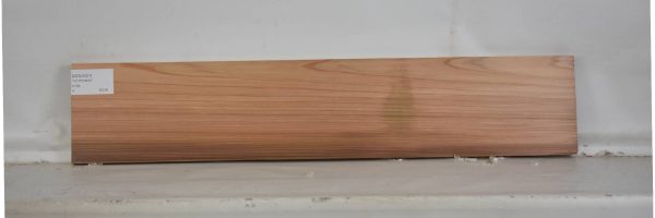 CEDJ1021_1