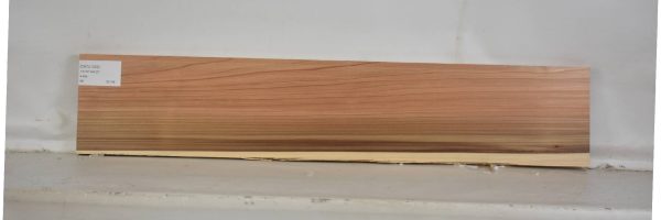 CEDJ1022_1