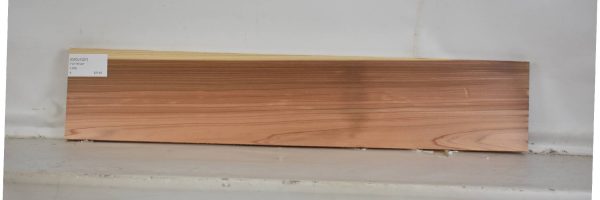 CEDJ1027_1