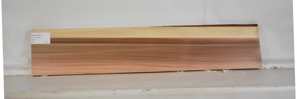CEDJ1036_1