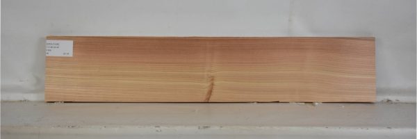 CEDJ1038_1