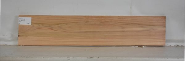 CEDJ1040_2