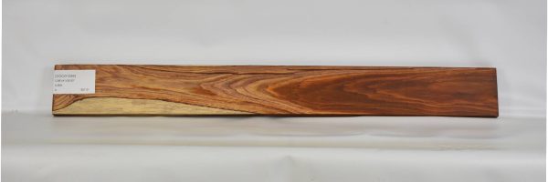 COCO1295_1