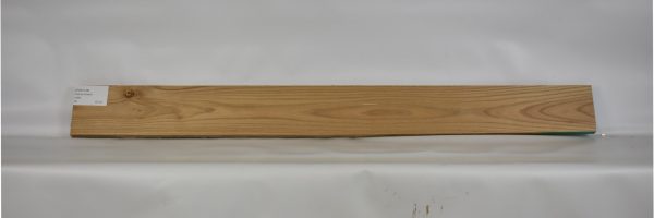 ELM1145_2