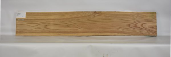 ELM1151_1