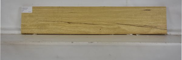 LIMBAB1055_2