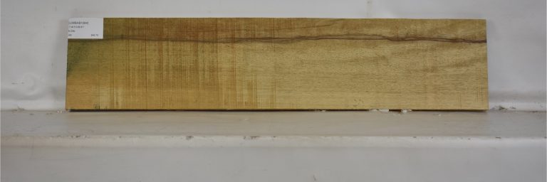 LIMBAB1064_1