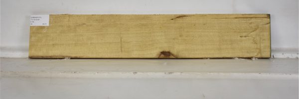 LIMBAB1077_2
