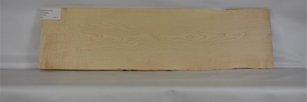 MAPCH1131_2