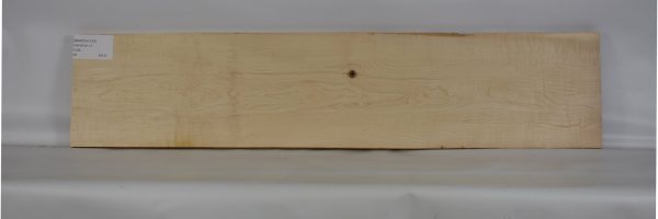 MAPCH1133_2