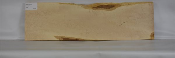 MAPCH1137_2
