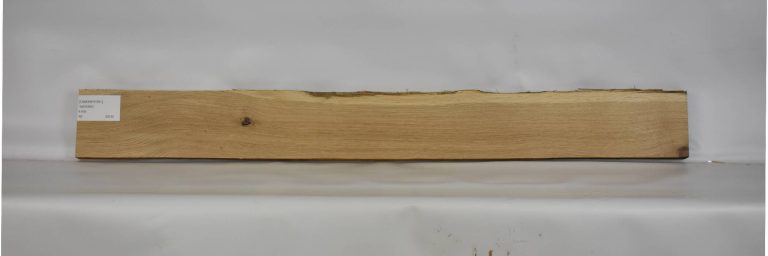 OAKWH1081_1