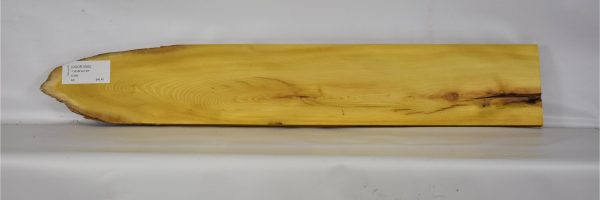 OSOR1099_1