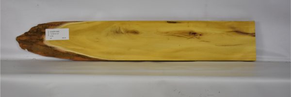 OSOR1099_2