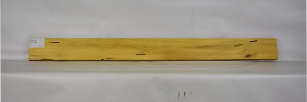 OSOR1100_1