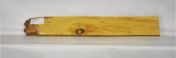 OSOR1102_2