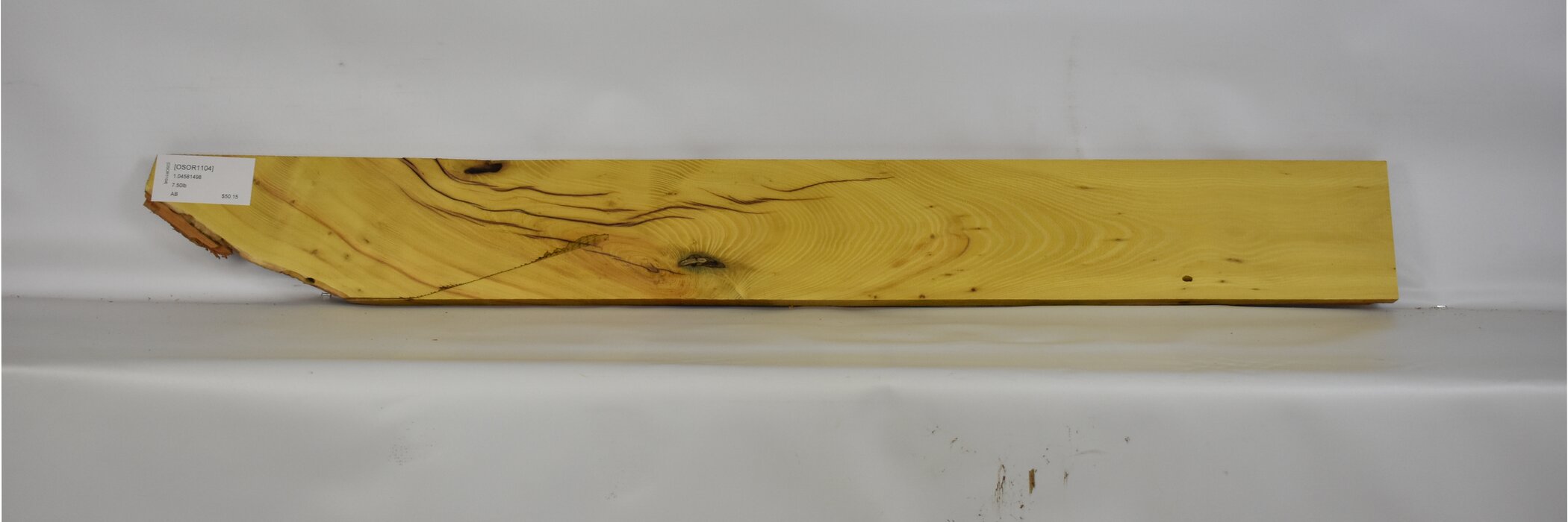 Osage Orange 2 OSOR1104_2