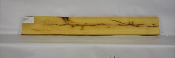 OSOR1108_2