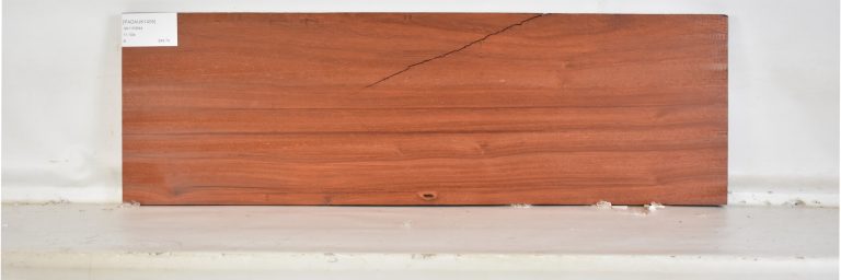 PADAUK1405_1