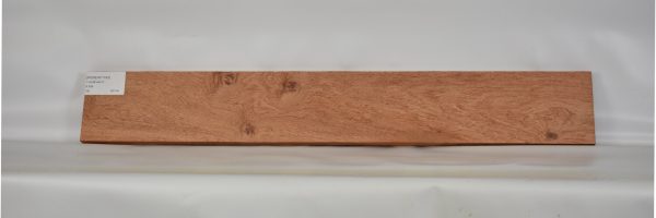 ROSEAF1193_1