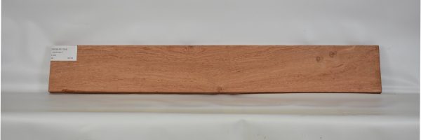 ROSEAF1194_1